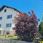 Falkenstein Apartman Frauenau