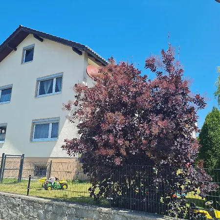 Falkenstein Daire Frauenau
